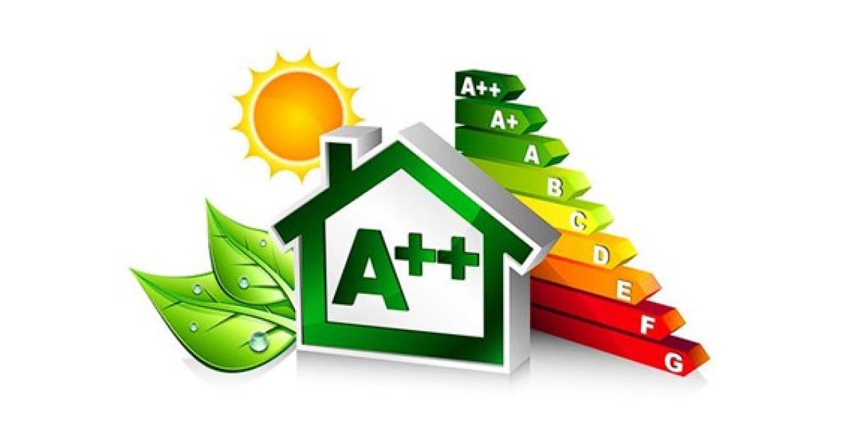 Importancia CE en el mundo